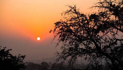 Fototapeta premium The sun setting over a hazy landscape, silhouetting trees against the vibrant orange sky.
