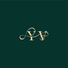 YV letter elegant style with wavy line organic curve wedding monogram initial logo design