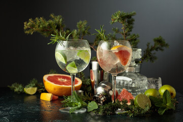 Cocktails gin and tonic with grapefruit and lime slices.
