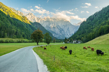Idyllic scene with a rural road in the Alpine landscape, Logar Valley, Slovenia © Mazur Travel