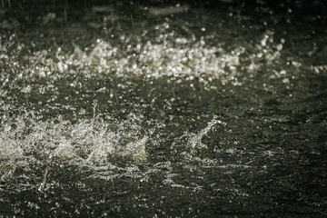 raindrops splashing on water, capturing droplets and ripples in motion with a dramatic, dark background.