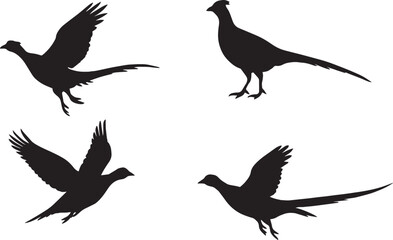 Flying Pheasant Silhouette Set