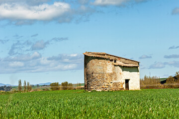 Obraz premium Generated image