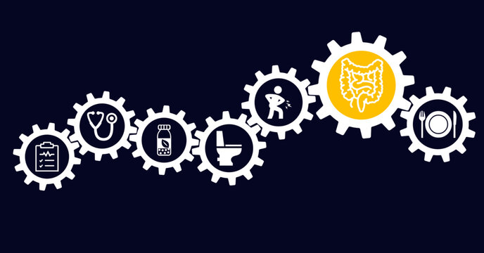 intestinal disease vector illustration. Concept with connected icons related to irritable bowel disease, inflammatory bowel syndrome, colitis ulcerosa or stomach pain. 