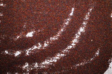 Mustard seeds (Brassica napus), also known as rapeseed, oilseed rape, or canola, are dried in the sun for oil extraction. Black mustard seeds have a well deserved reputation for their pungent spicy.