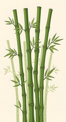 Fototapeta premium bamboo