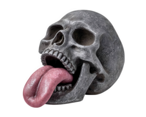 Skull tongue funny isolated object photo humor creepy bone dark. Skull with exaggerated tongue sticking out isolated on transparency background humorous and creepy expression detailed bone texture