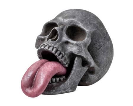 Skull tongue funny isolated object photo humor creepy bone dark. Skull with exaggerated tongue sticking out isolated on transparency background humorous and creepy expression detailed bone texture