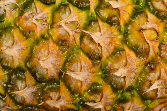 Pineapple peel texture. Ripe tropical pineapple. Abstract pineapple peel background. Macro photo.