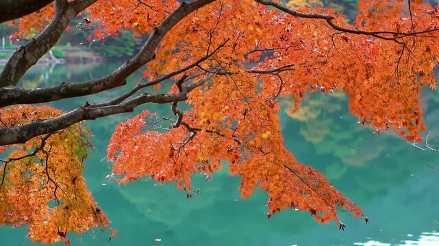Vibrant Orange Autumn Foliage Reflected in a Still Lake with Soft Natural Light and Tree Branches in Foreground