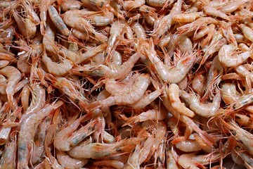 Raw shrimp display at a traditional spanish seafood market. Ideal for culinary concepts, seafood industry, cuisine, gastronomy and fresh food backgrounds