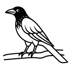 Obraz premium Stylized black and white illustration of a magpie perched on a branch