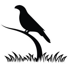 Silhouette of Bird on Branch with Grass – Vector Illustration