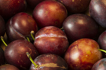 ripe plums with green stems