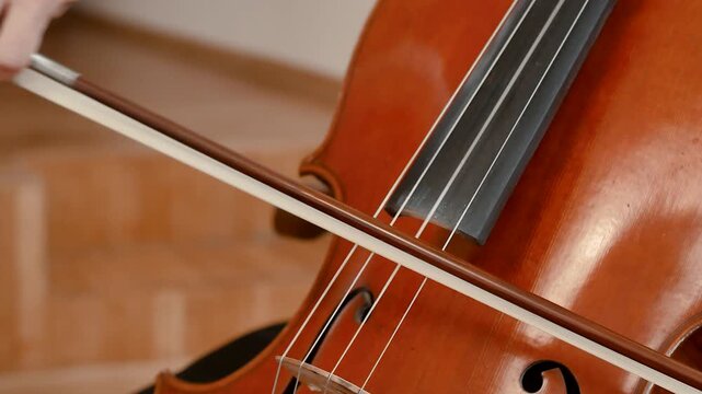 Close-up of hand playing cello indoors