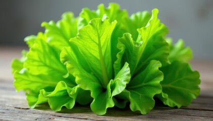 Fototapeta premium Crisp green lettuce leaves in a bunch, ready to eat , food, packaging
