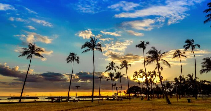 ハワイのヤシの樹とマジックアイランドの夕焼け空_DCI4K_pan