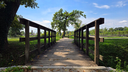 Obraz premium Sturdy wooden bridge crosses grassy ditch, connecting shaded park trails beneath mature trees, inviting walkers to continue along a sunlit footpath