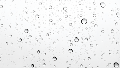 Raindrops on surface: Macro shot captures the gentle beauty of water droplets, glistening like tiny jewels, adhering to a smooth surface.