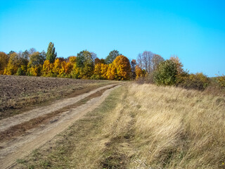 Fototapeta premium Dirt road on a sunny autumn day next to a plowed field.