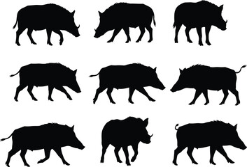 A set of black silhouette vector illustrations of wild boars, for themes of wildlife, nature, hunting, and animals.