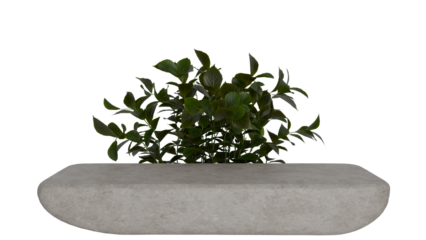 3D Render a plant in a concrete planter on a white background