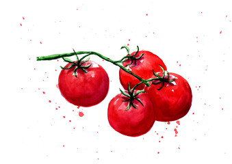A bunch of four red watercolor tomatoes on a vine with green stems and leaves, set against a transparent background with small red splatters © Iryna