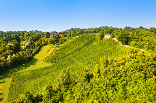 Picturesque landscape in Plesivica in Croatia, popular Croatian wine region and tourist destination