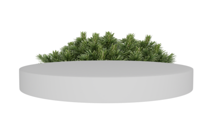 3D Render a planter with a tree in it on a white surface