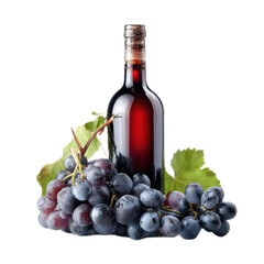 Bottle of red wine is on top of a bunch of grapes