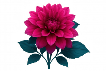 Pink dahlia flower blooming with vibrant petals and lush green leaves, isolated on a transparent background, perfect for design projects