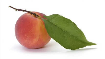 A fresh peach with reddish-orange skin and yellow undertones, featuring a vivid green leaf attached to a short stem,