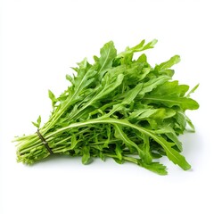Fresh arugula leaves, a vibrant bunch of healthy greens. Arugula tied and ready to be used in fresh salads.