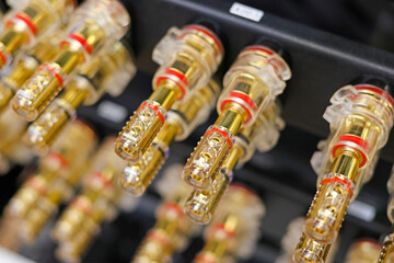 Banana connector for connecting the audio signal from the sound amplifier to the speakers. 