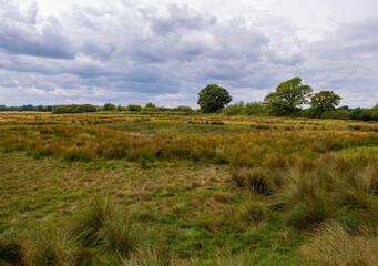 Bleak marshland, at Otmoor near Beckley, Oxfordshire, a nature reserve and wetland complex, managed by the Royal Society for the Protection of Birds. Stormy clouds.