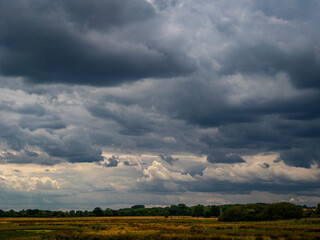 A thin band of marshland horizon lays across the lower image below a large area of dark cumulonimbus storm clouds  with sunlight breaking through in places.
