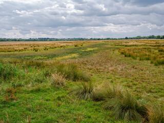 Bleak marshland, at Otmoor near Beckley, Oxfordshire, a nature reserve and wetland complex, managed by the Royal Society for the Protection of Birds. Stormy clouds.