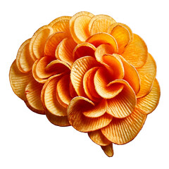 Brain made from stacked golden potato chips, crisp and textured, floating on a white background with a soft shadow, playful and appetizing.