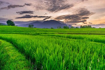 Wonderful sunrise scenery indonesia nature mountain valley forest with bright sky