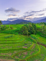 Wonderful sunrise scenery indonesia nature mountain valley forest with bright sky