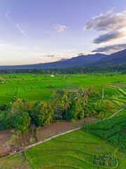 Obraz premium Wonderful sunrise scenery indonesia nature mountain valley forest with bright sky