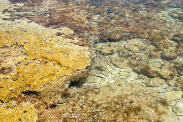 The shore of a pebble beach with clear turquoise water. Likva beach on the island of Brac. Croatia