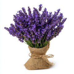 Fototapeta premium A beautiful bouquet of lavender flowers, tied with a twine rope, presented in a rustic burlap sack. The vibrant purple blooms and the sack create a natural and charming aesthetic