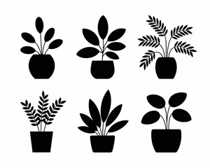 Collection of six potted houseplant silhouettes isolated on white background