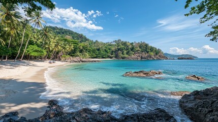 Fototapeta premium A tropical beach with palm trees and clear blue water