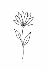 Fototapeta premium vector illustration of a Flower