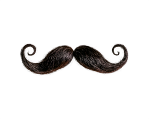 A whimsical black mustache on a white background
