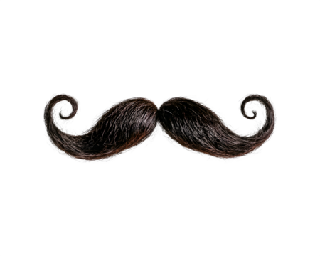 A whimsical black mustache on a white background