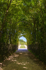 View from a grove in the gardens of the Palace of Versailles, France