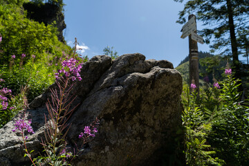 drogowskaz w górach © Mateusz